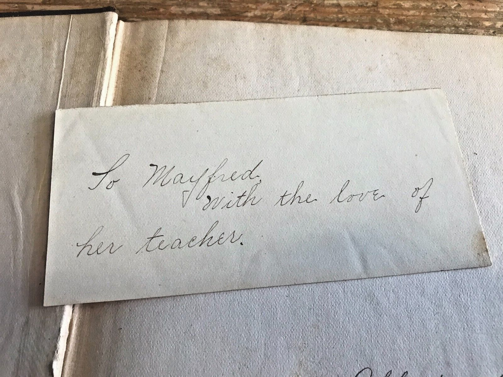 Antique Botanical Scrapbook 1889 Apgar's Analysis Pressed Plant Specimens Book