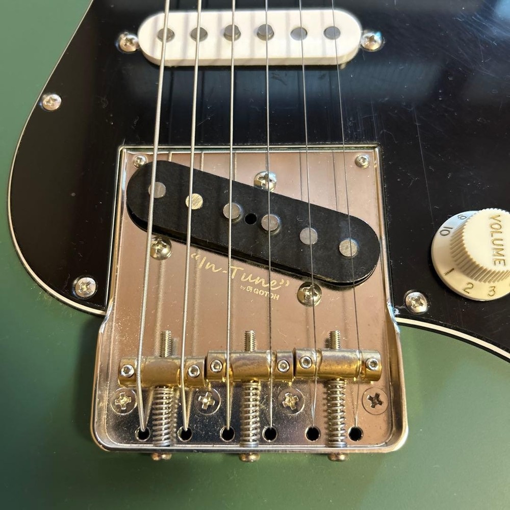SAITO GUITARS SR-22T-Plus Moss Green
