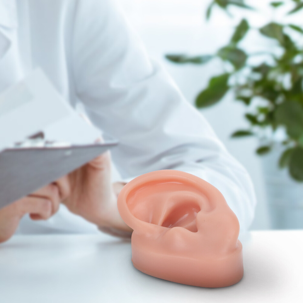 Simulation Human Ear Model ear model for teaching Ear Model Silicone Ears