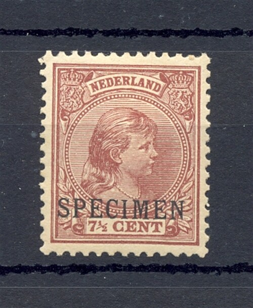 NETHERLANDS #36 -SPECIMEN * - HINGE REMAINDER -VF