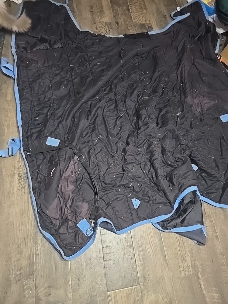 Horse Blanket