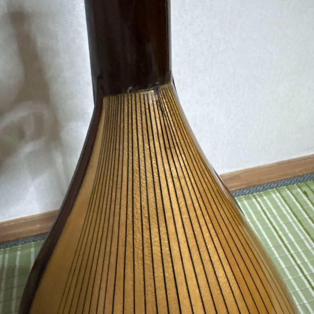 Raffaele Terada Musical Instruments High End Mandolin RM-3 String Used From JPN
