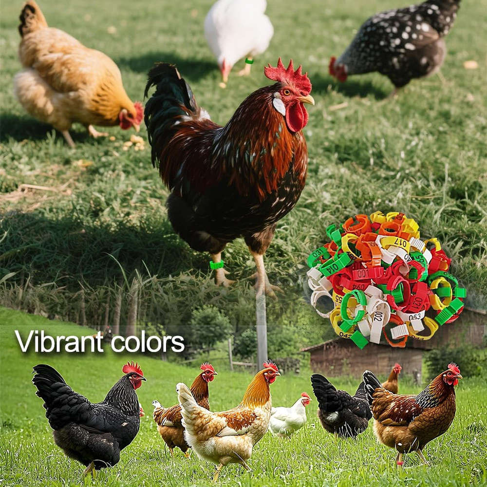 100 Pcs Adjustable Poultry Leg Bands, 5 Color Numbered Chicken Identification...