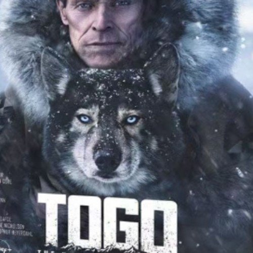 2019:New Box Set Sealed-TOGO
