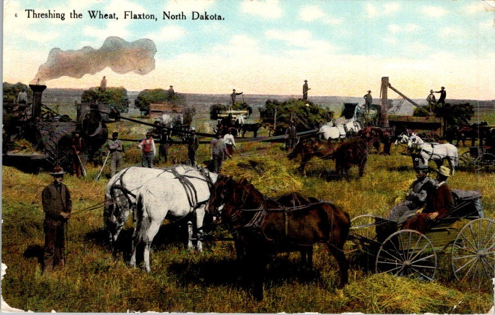Threshing Bee Postcard c1908 Flaxton ND Steam Traction Engine & Horses