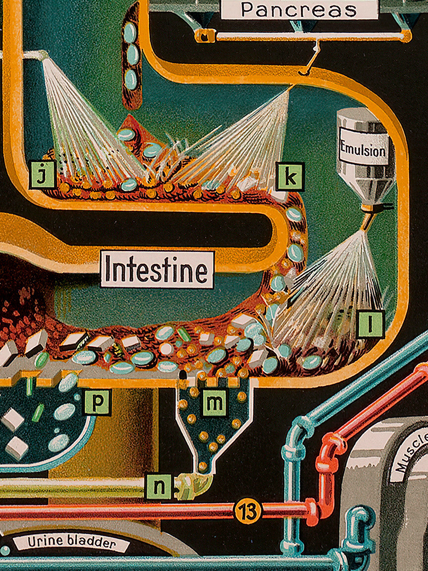 1931 The Human Factory - Vintage Industrial Anatomy Poster - 12x24
