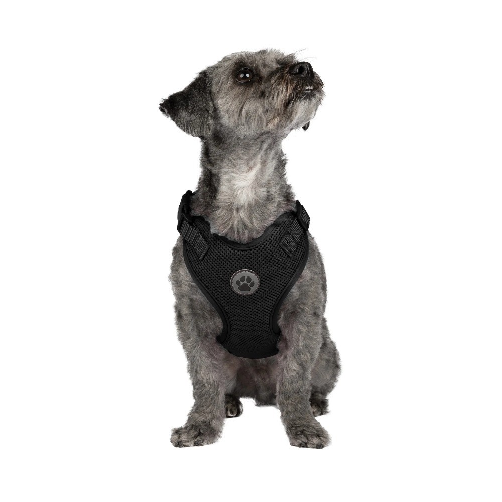 Mesh Adjustable, Reflective Dog Walking Harness, Black, Small