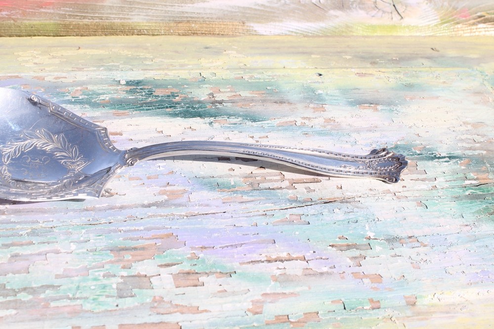 Silverplate Serving Spoon Ornate with Engraving