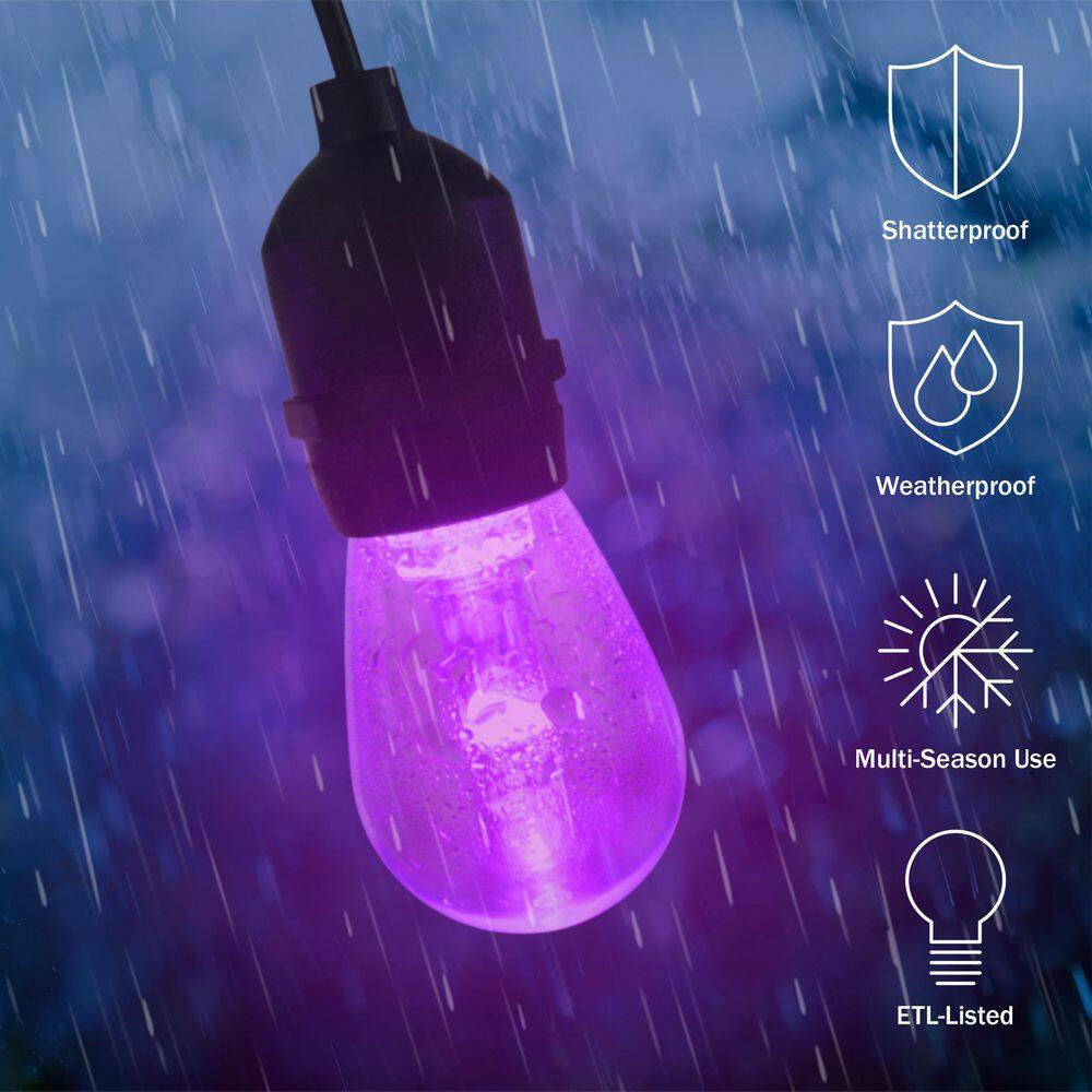 15 Edison String -Light - 50 Ft. Outdoor Plug-In Color-Changing Integrated LED E