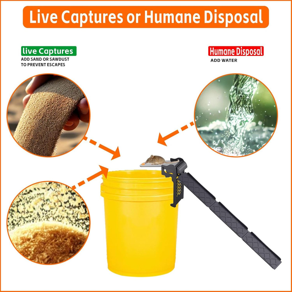 Walk the Plank Mouse Trap, Humane Rat Trap with Adjustable Sensitivity, Auto Res