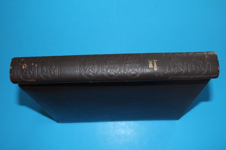 Germany Locals 1945 Hingeless Borek Specialty Springback Album BlueLakeStamps