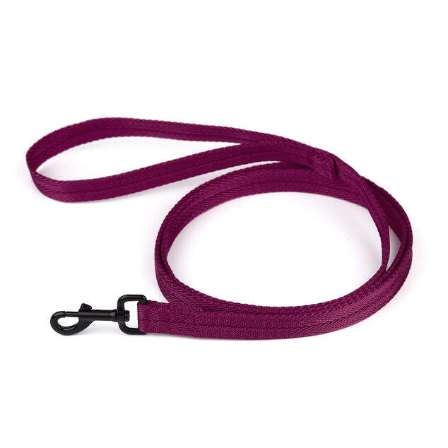 Nylon Leash W5/8" X L4ft Berry