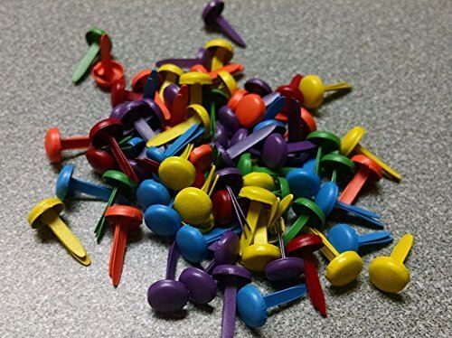 Recollection Brads Primary - Mini Size