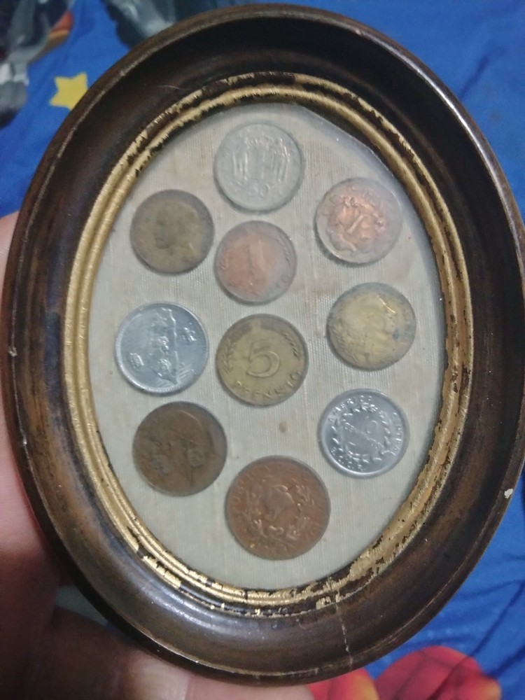 Vintage Foreign Coin Collection in Oval Frame