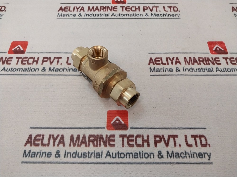 Watts 1/2 Inch 9D-M3 Dual Check Valve Backflow