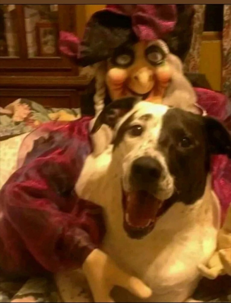 Pirate ☠️ pocket watch