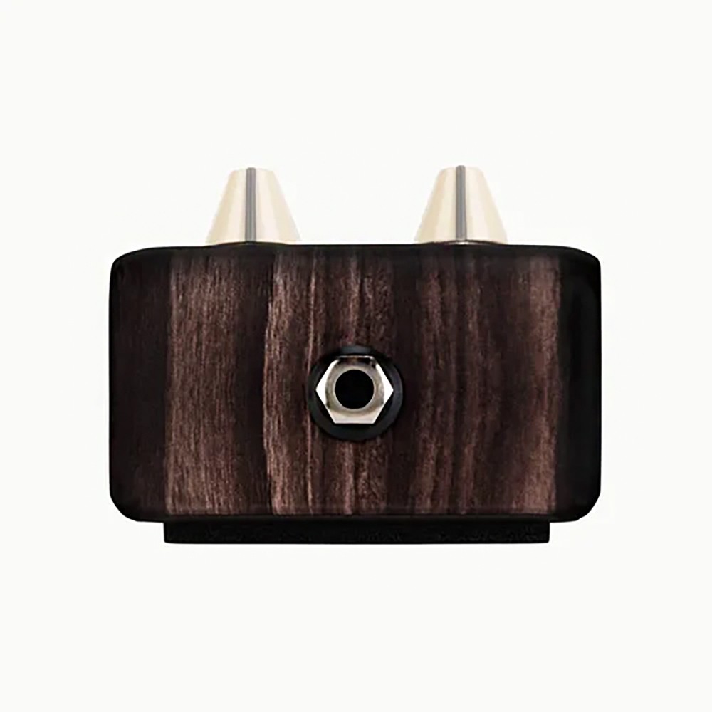 LR Baggs - Align Delay - Delay - Acoustic Guitar Effects Pedal