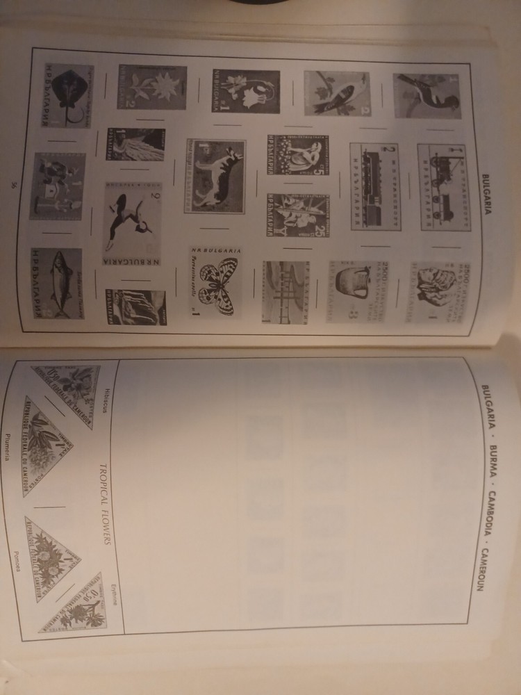 Amazing but True Stories behind the Stamps by Doug Storer (1968)