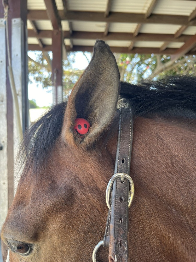Pony Ear Plugs By Happy Ears Red