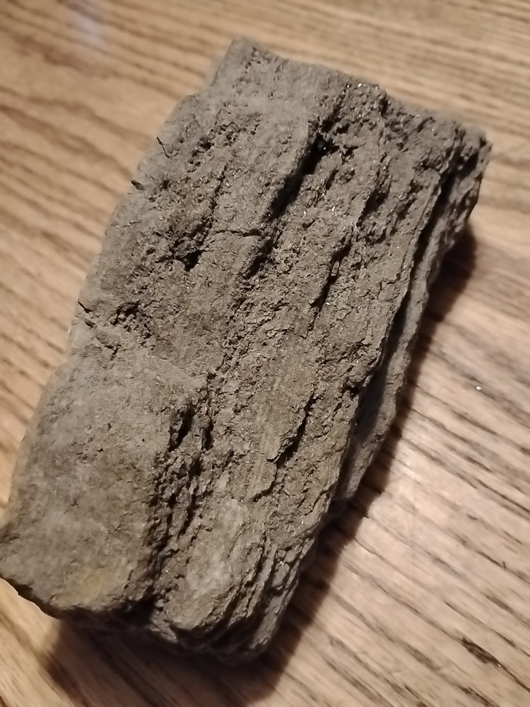 Petrified Wood 738g (Outer Bark)