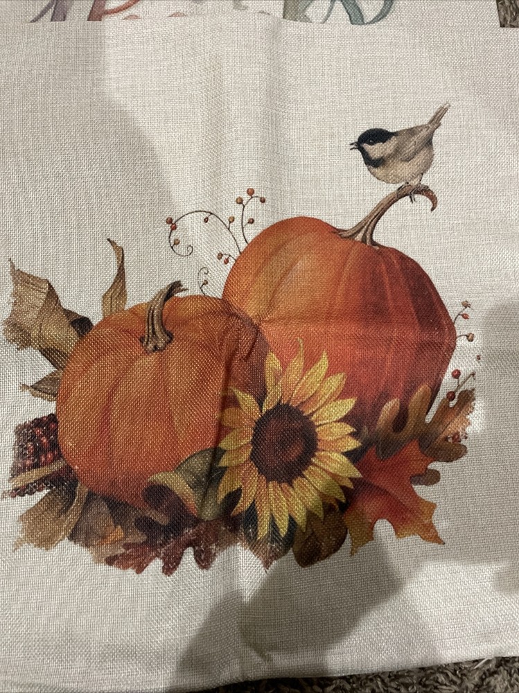 4 Pack Pumpkin Throw Pillow Covers 18 X 18 Inch