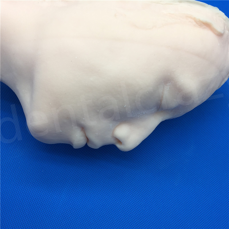 Beauty Kit Silicone Head Injection Skin Suture Plastic Surgery Teaching Model