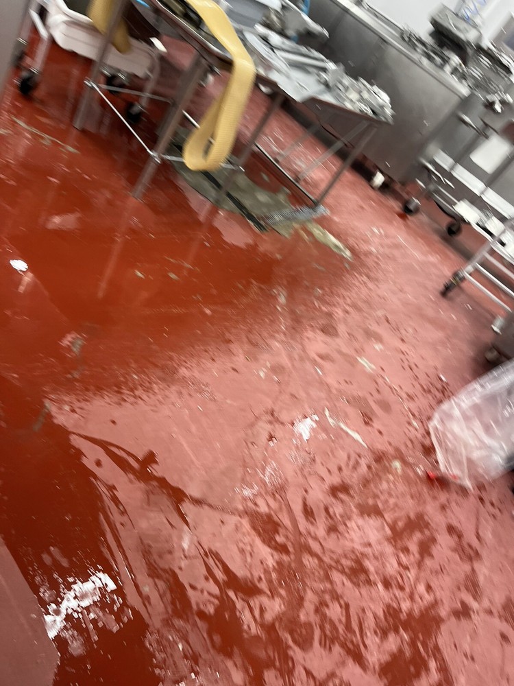 vacuum tumbler meat marinator