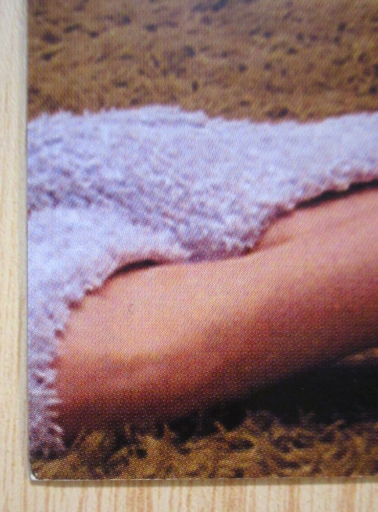 Donnas Flat / Poster 2002