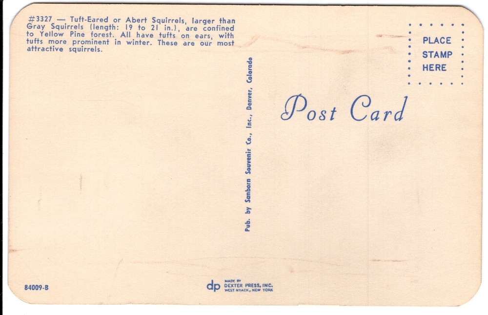 TUFT EARED OR ABERT SQUIRRELS - PC2700