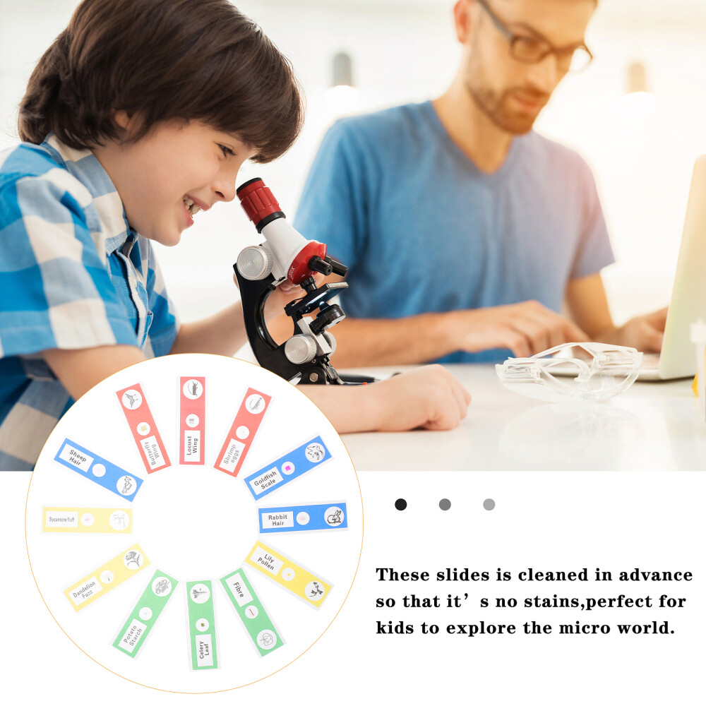 36pcs Microscope Sample Slide Plant Sample Specimen Kid Science Toy