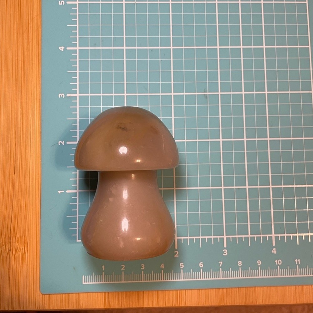 Agate Mushroom