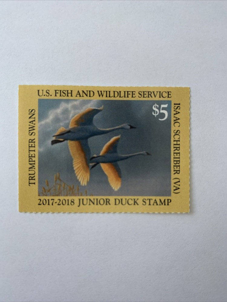 JDS25 - 2017 Junior Duck Stamp, MNHOG. 12