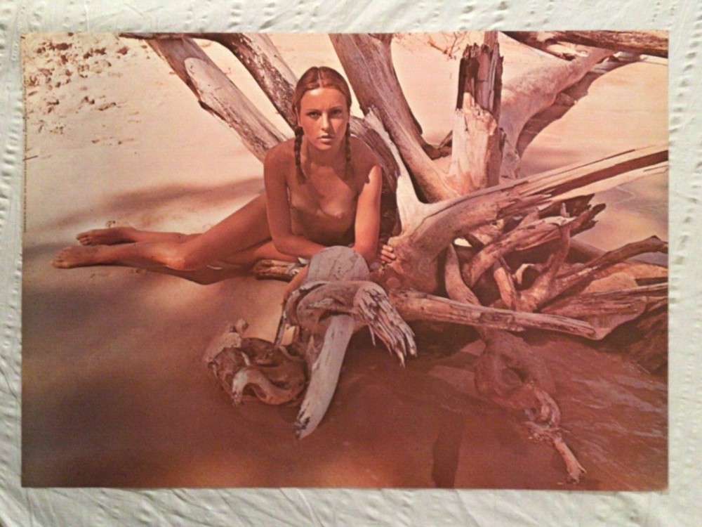 Lena 1971 Poster Nude Driftwood Girl Bare Beasts Cute Pigtails Hair Pinup