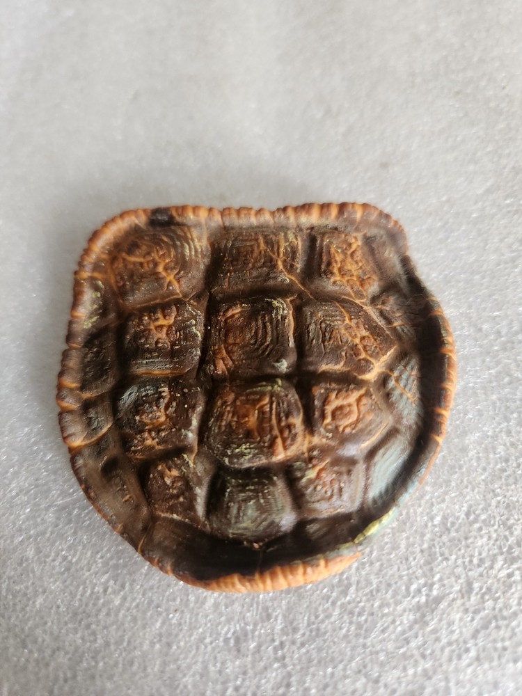 Artificial Rubber Turtle Shell Life-like • 3"×2⅞"