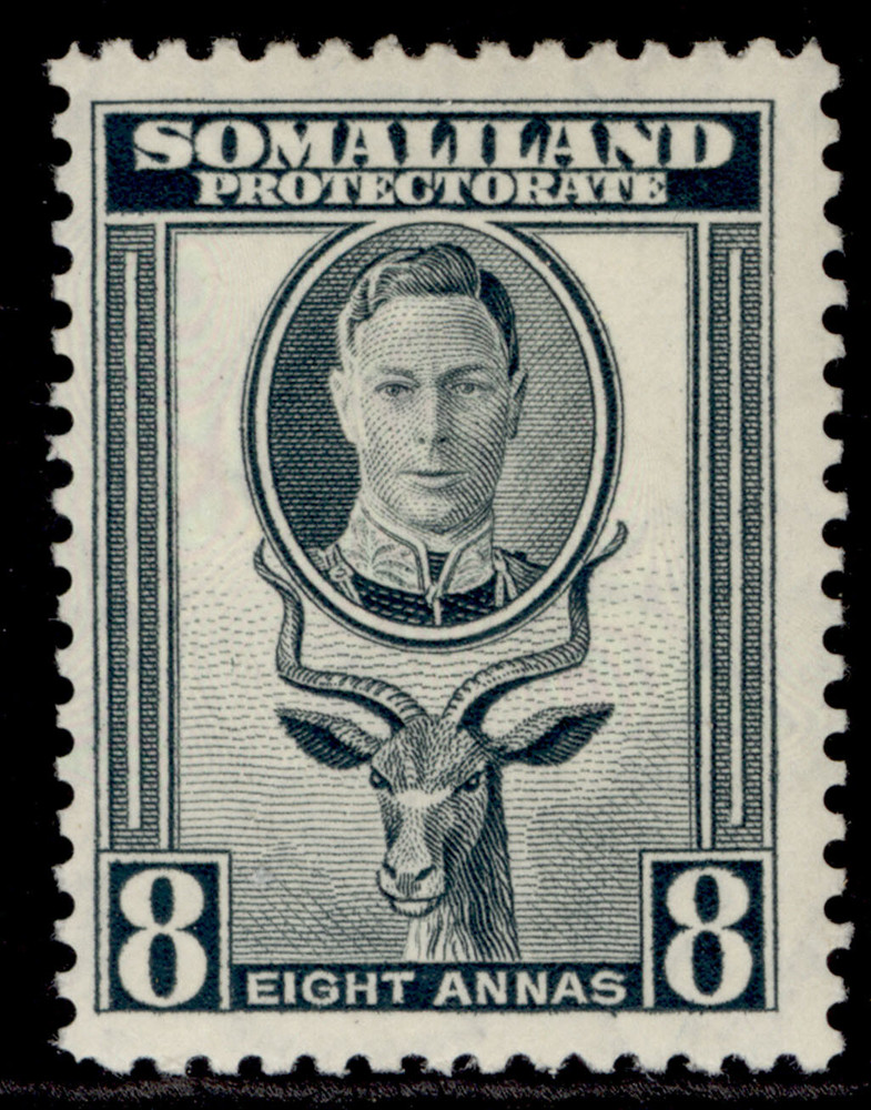 SOMALILAND PROTECTORATE GVI SG111, 8a grey, M MINT.