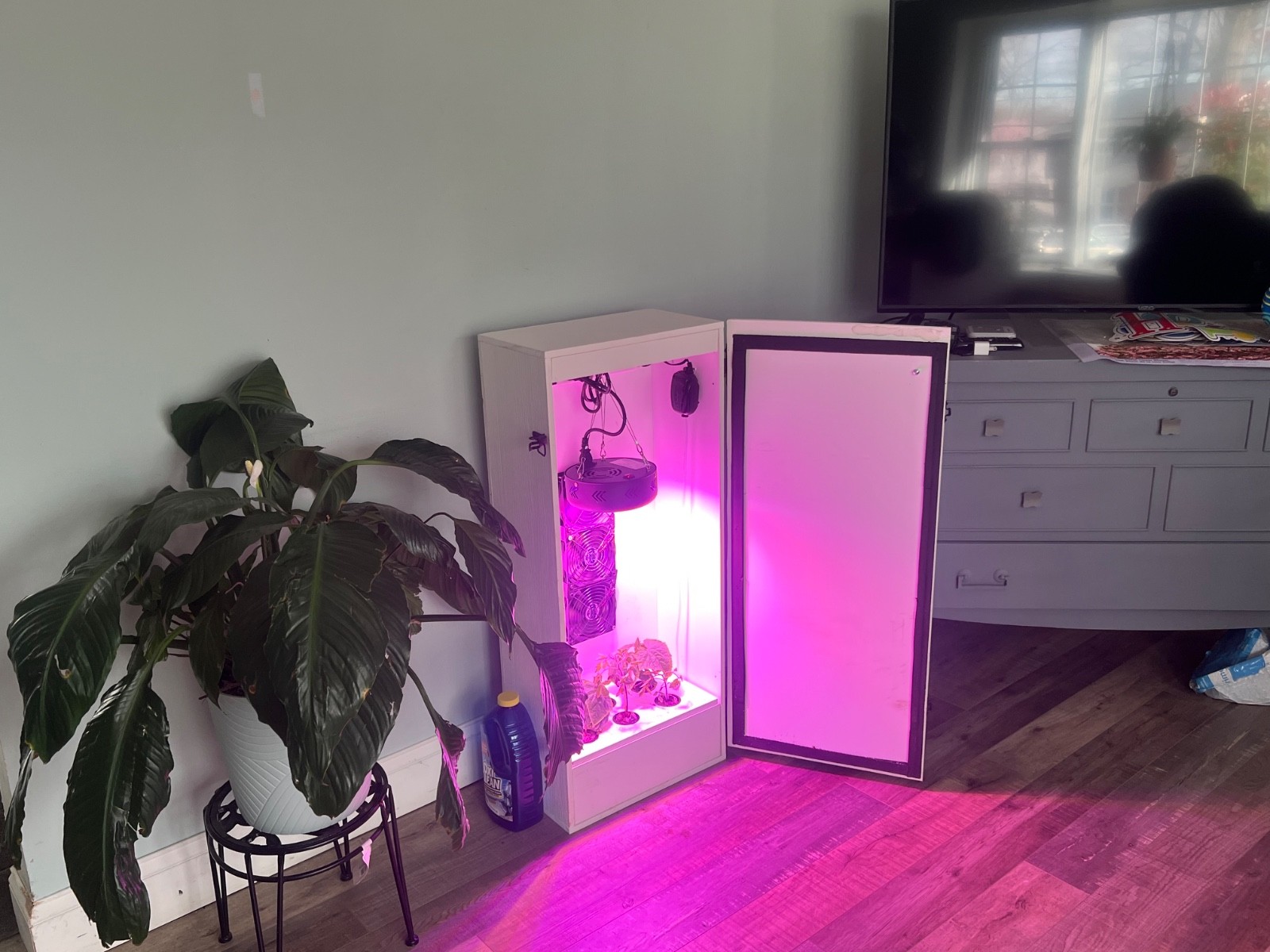 Ghost Cabinet Super Deluxe Hydroponic Grow Box