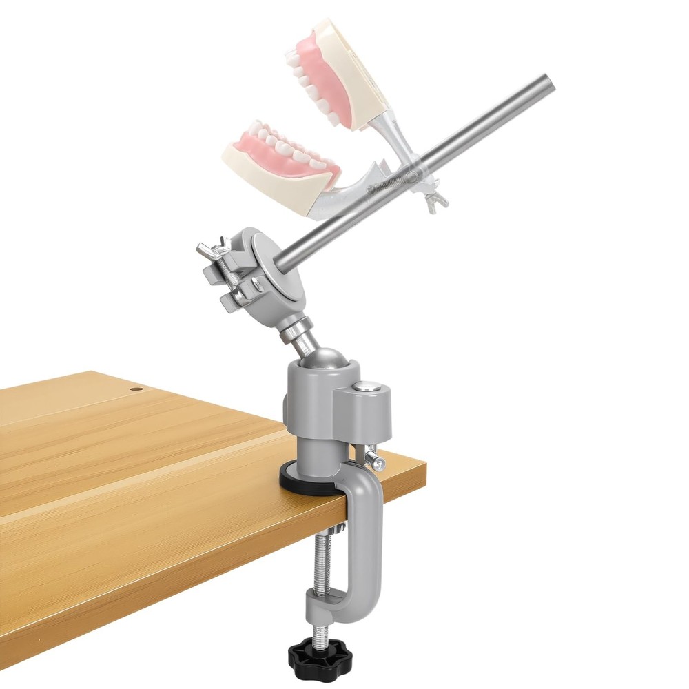 Typodont Teeth Model Mount, Pole Teeth Model Training Mount Fixed on Desk Tra...