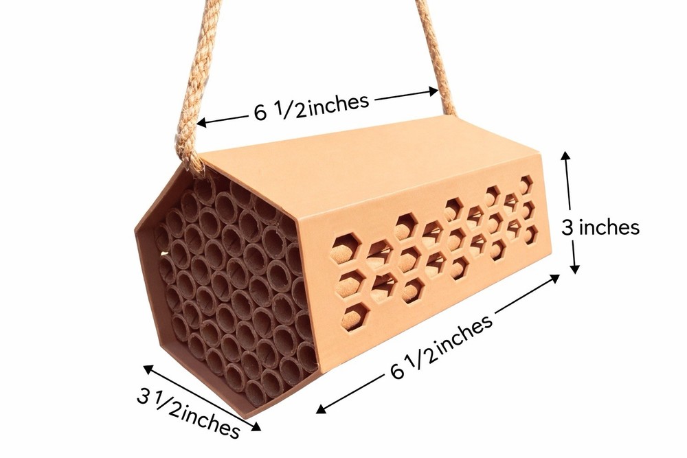 Mason Bee Hotel – Boost Your Garden Naturally