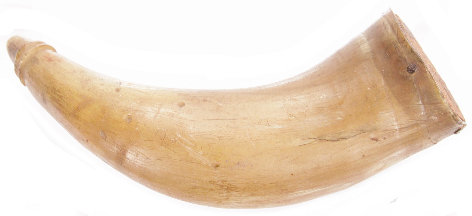 Antique 19th Century American Translucent Cow Horn Powder Horn Flask Old