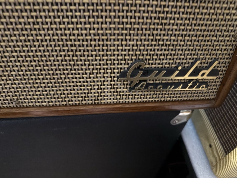 Rare Guild Tamarack Amplifier