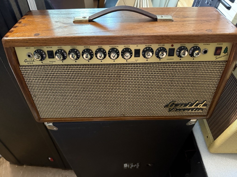 Rare Guild Tamarack Amplifier
