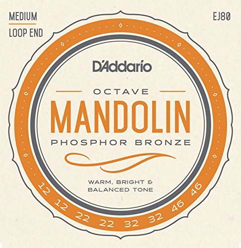 D'Addario EJ80 Phosphor Bronze Octave Mandolin Strings, Medium, 12-46