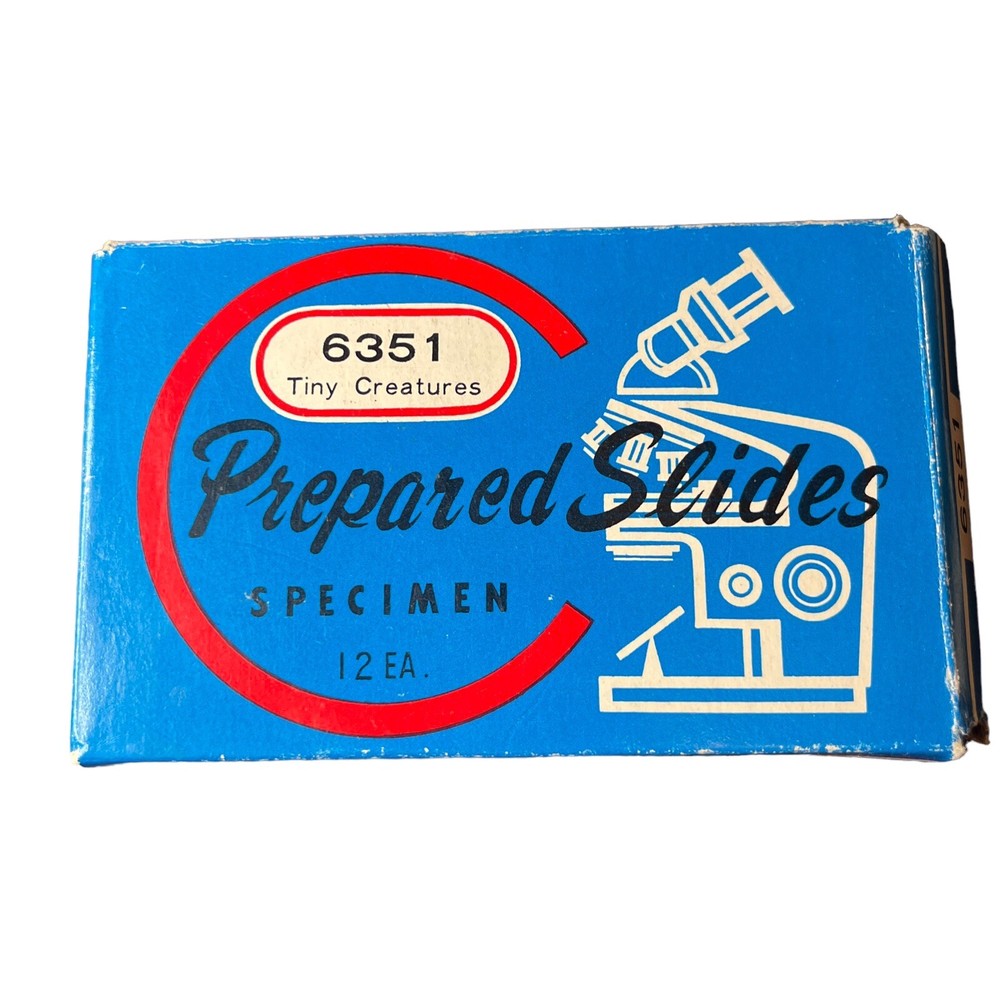 Vintage MICROSCOPE PREPARED SLIDES~2 Sets Vegetables & Tiny Creatures~Made Japan