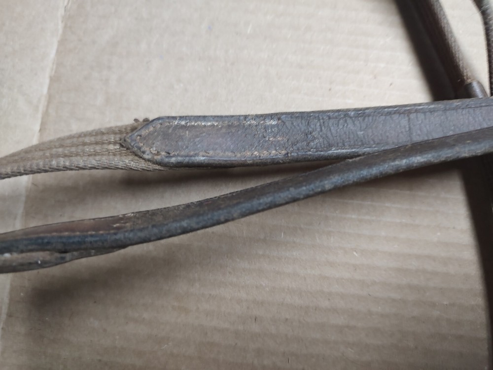 Brown Web Reins with Stops Horse Size