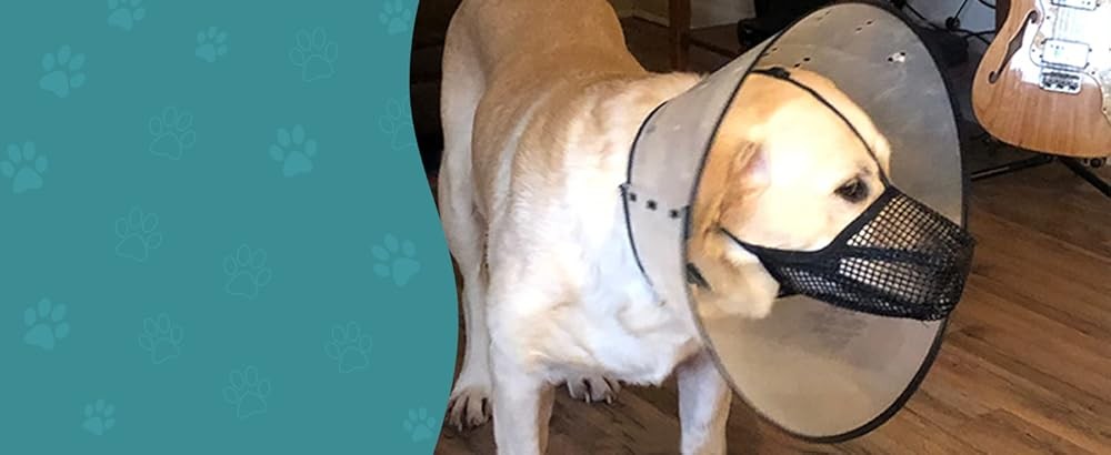 Dog Muzzle, Patented Mesh Muzzles for Small Medium Lar Dogs,