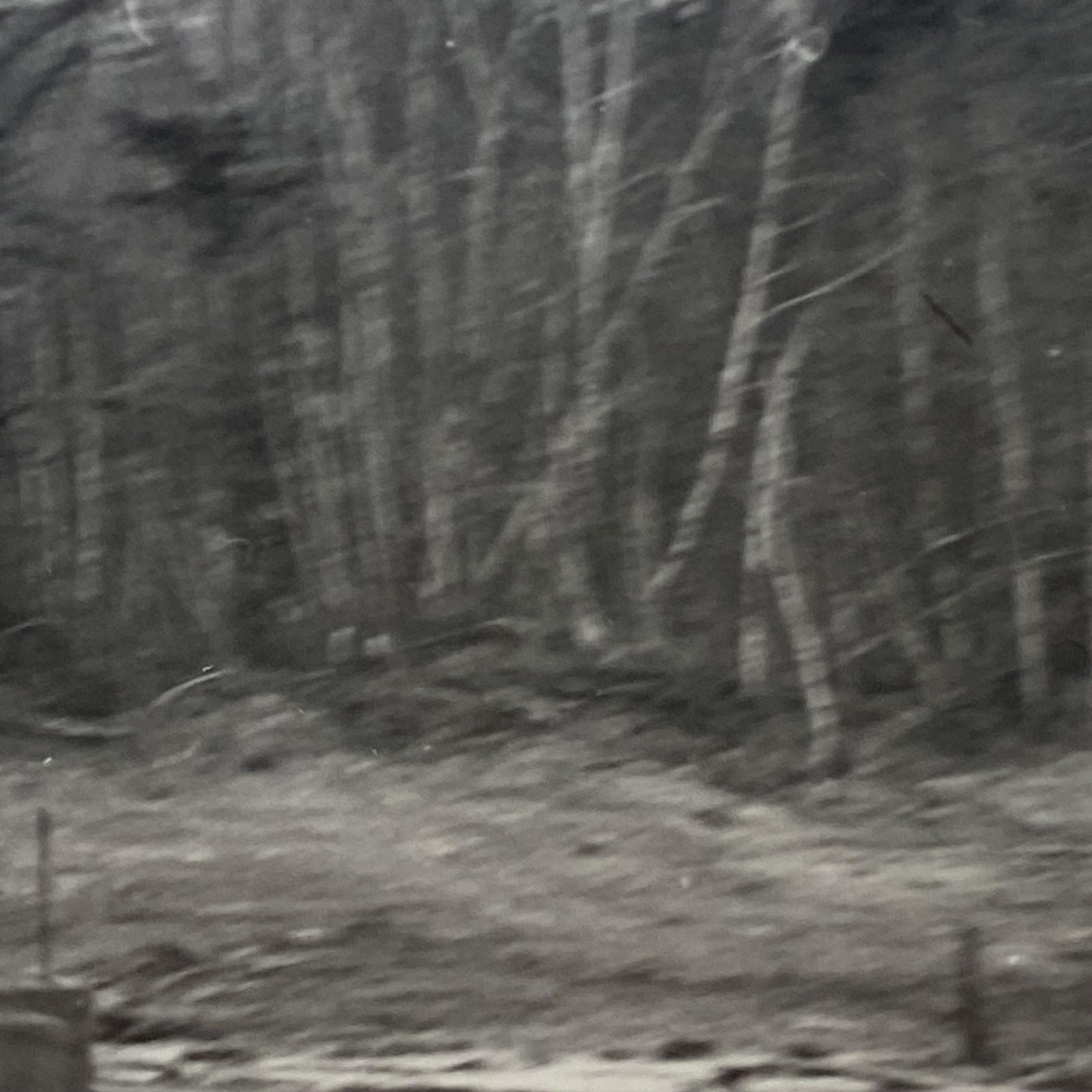 Vintage Pennsylvania Lackawanna & Reading Train Photo 4x5 B&W Gelatin Original