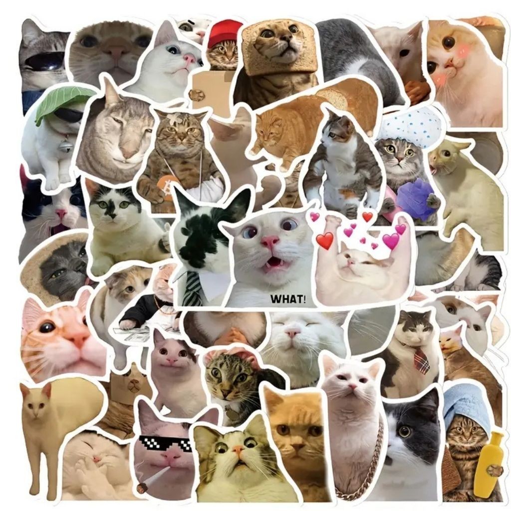 50PCS Funny Cat Stickers Pack Cute Waterproof Vinyl Decals for Laptop Water Bott