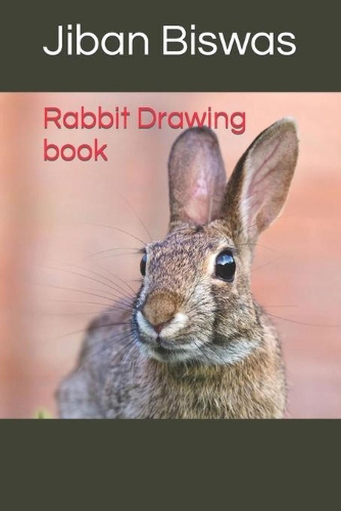 Rabbit Drawing book