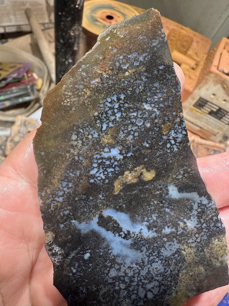 Dinosaur bone rough slab.