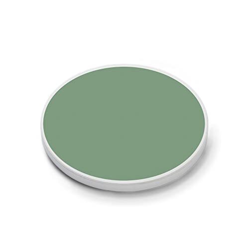 Solid Cool 2.75 x 2.75 Absorbent Ceramic Car Coasters Pack of 2 Sage Green